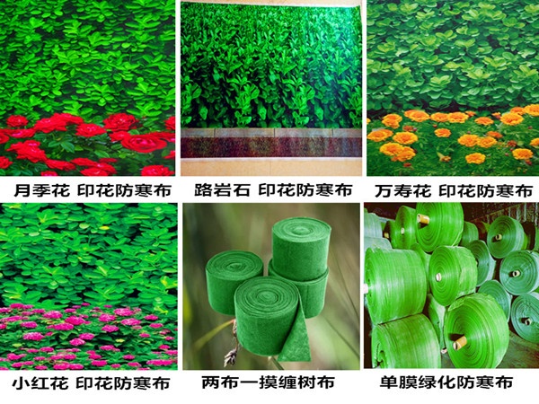 园林树木冬季防寒防护全攻略及防寒布使用技巧