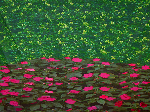 印花防寒布批发